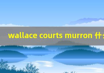 wallace courts murron 什么乐器